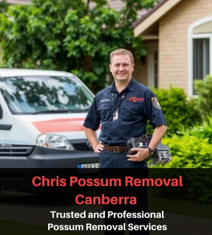 Who Are We? An Overview of Chris Possum Removal Canberra
